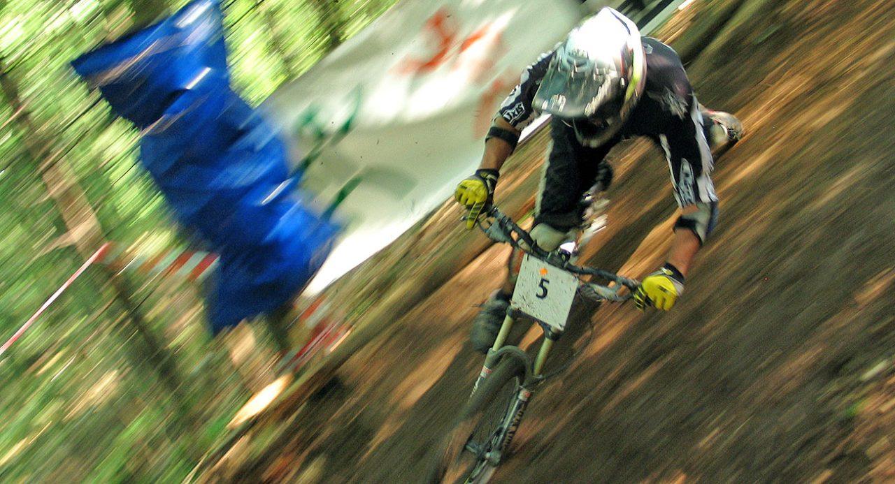 jan cestnik, dh kamnik